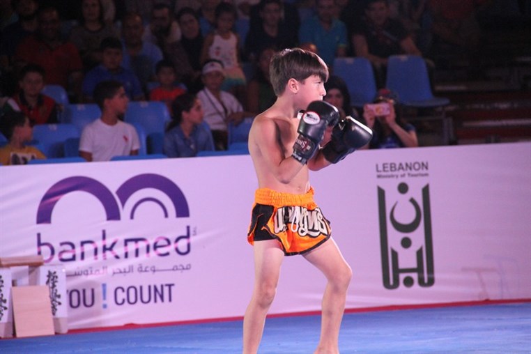 Martial Arts Festival